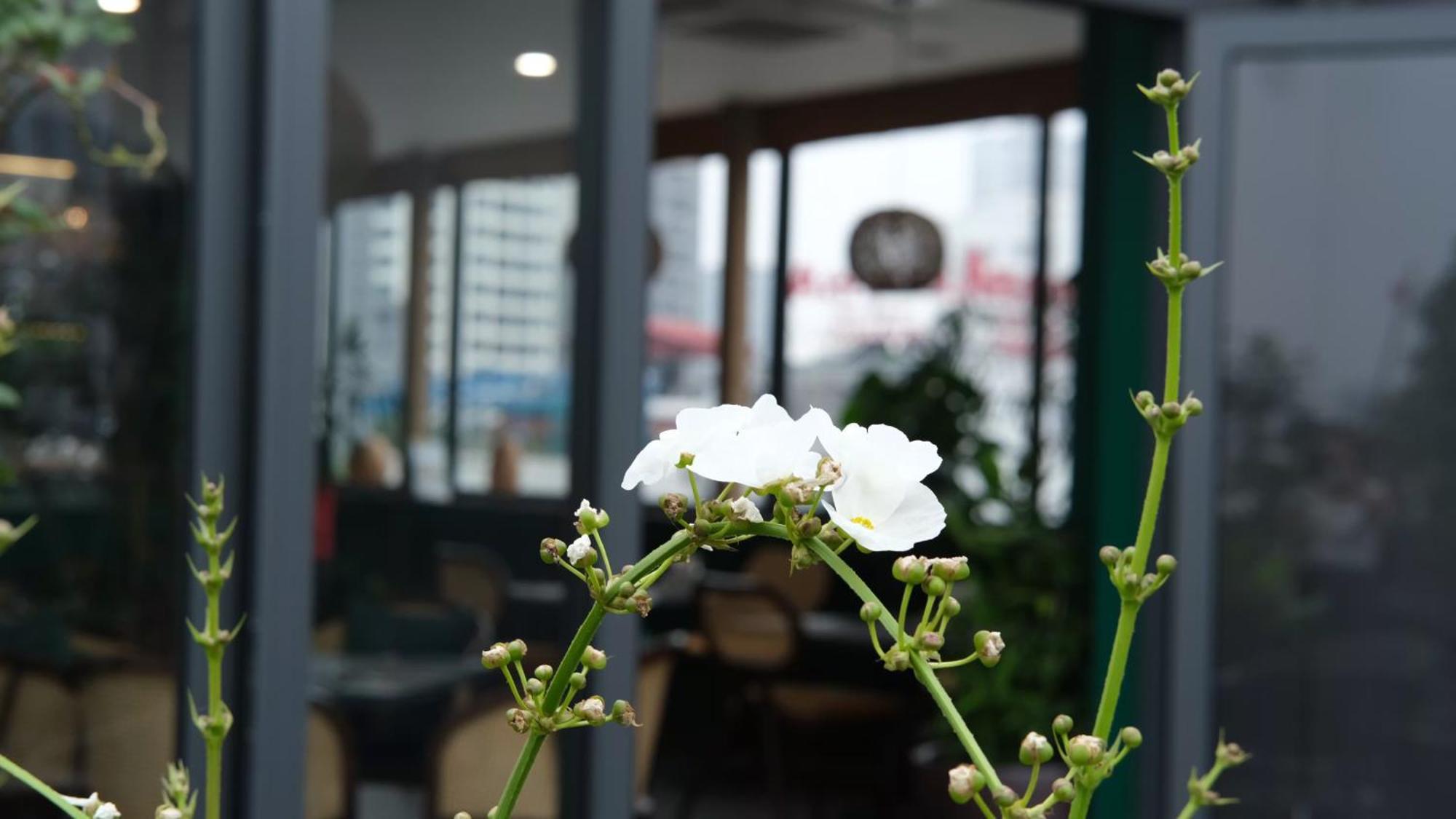 The Bloom Classic - Hotel And Bistro Hanoï Extérieur photo